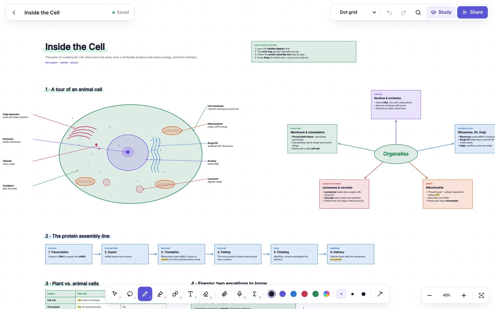 A biology notebook in Noti with a labelled animal cell diagram and a mind map